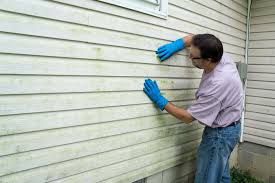 Best Wood Siding Installation  in Crystal City, TX